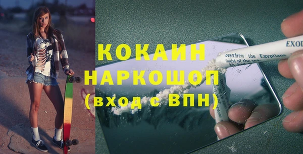 твердый Арсеньев